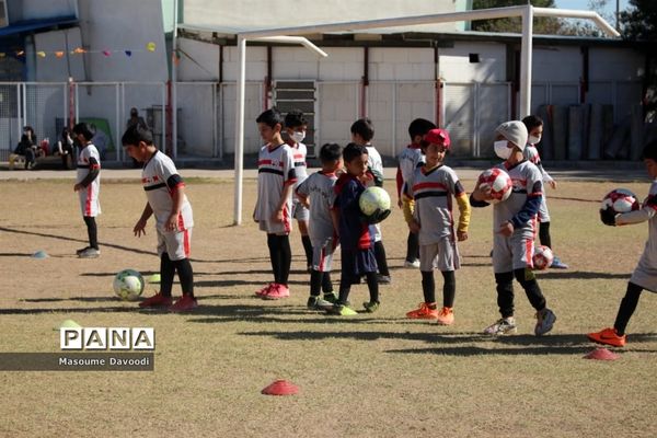 آغاز اجرای طرح آزاد‌سازی ۴ مجموعه ورزشی در فارس