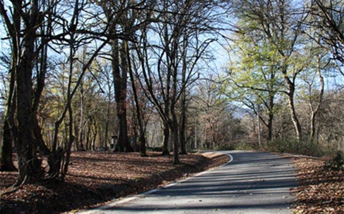 هزینه ۱۰۰ درصد مازاد درآمدهای سازمان جنگل‌ها و دامپزشکی کشور برای پیشگیری از سیل و خشکسالی