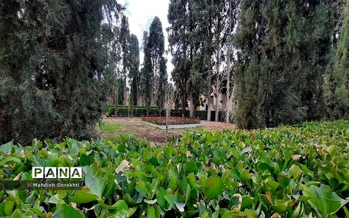 استانداردسازی تولیدات باغی با شناسنامه‌دار کردن‌ باغات
