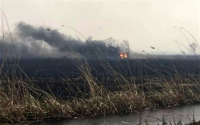 تالاب انزلی بازهم دچار حریق شد؛ آتش‌سوزی همچنان ادامه دارد