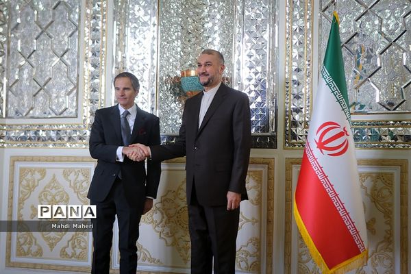 دیدار وزیرامورخارجه ایران با مدیرکل آژانس بین المللی انرژی اتمی