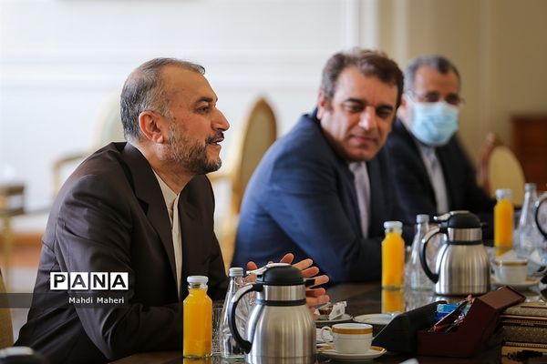 دیدار وزیرامورخارجه ایران با مدیرکل آژانس بین المللی انرژی اتمی