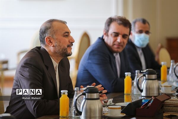دیدار وزیرامورخارجه ایران با مدیرکل آژانس بین المللی انرژی اتمی