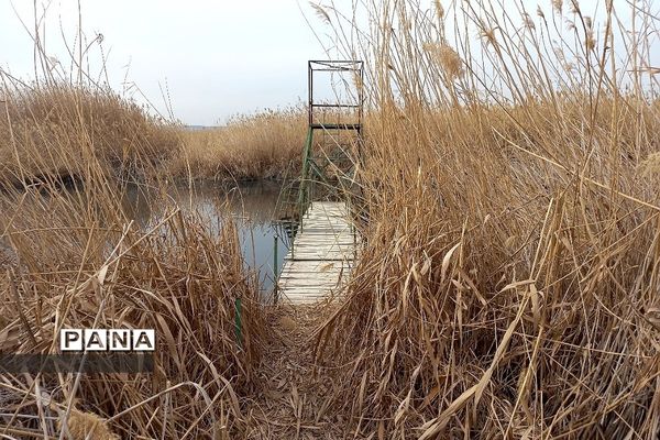 اردوی مجازی راهیان‌نور دانش‌آموزان فشافویه و کهریزک