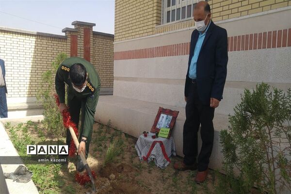 کاشت نهال به یاد سردار شهید حاج قاسم سلیمانی در آموزشگاه دارابگرد