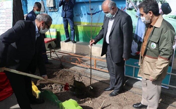 غرس یک اصله نهال توسط سرپرست آموزش و پرورش خراسان‌رضوی در یکی از مدارس مشهد