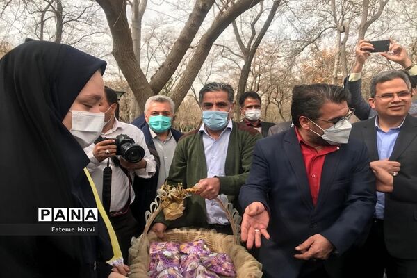 مراسم روز درختکاری در پارک ملت مشهد