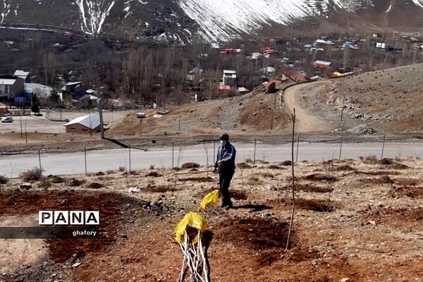 برگزاری مراسم روز درختکاری در مدارس شهرستان دماوند