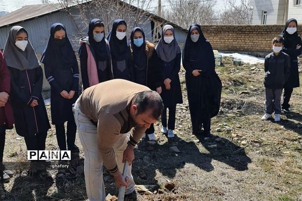 برگزاری مراسم روز درختکاری در مدارس شهرستان دماوند