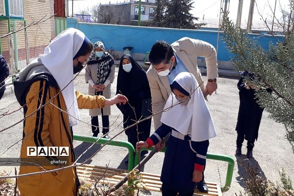 برگزاری مراسم روز درختکاری در مدارس شهرستان دماوند