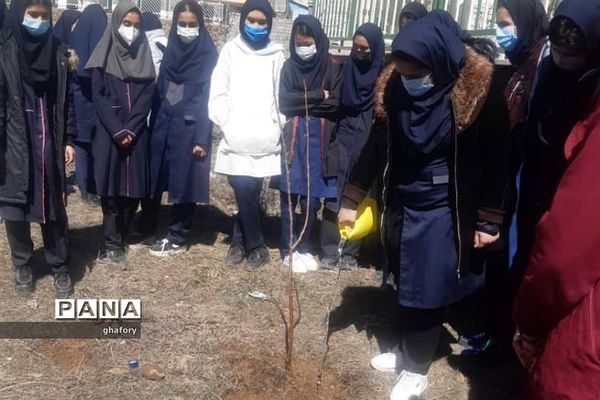 برگزاری مراسم روز درختکاری در مدارس شهرستان دماوند