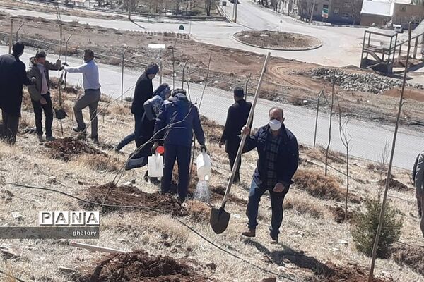 برگزاری مراسم روز درختکاری در مدارس شهرستان دماوند