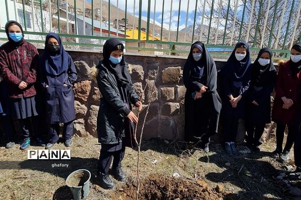 برگزاری مراسم روز درختکاری در مدارس شهرستان دماوند