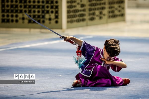 نخستین فستیوال ملی وشوو