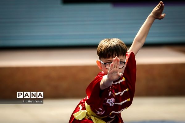 نخستین فستیوال ملی وشوو