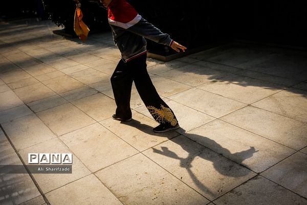 نخستین فستیوال ملی وشوو