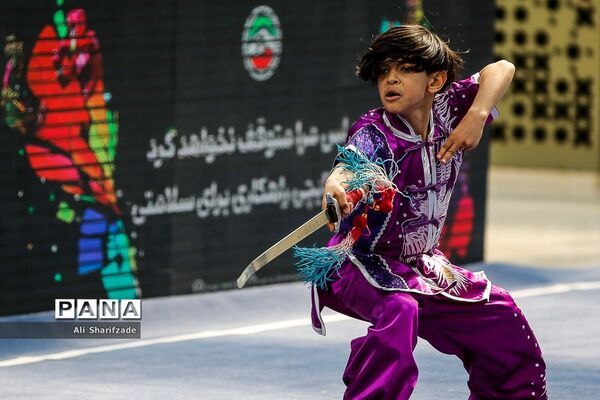 نخستین فستیوال ملی وشوو
