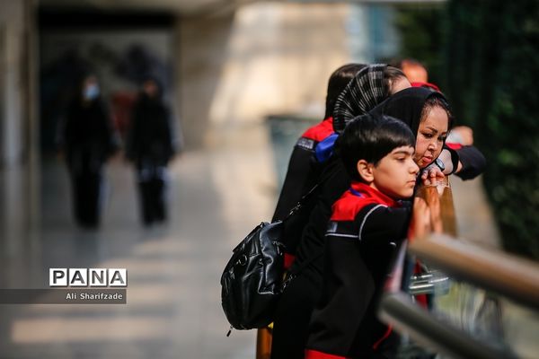 نخستین فستیوال ملی وشوو