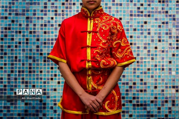 نخستین فستیوال ملی وشوو