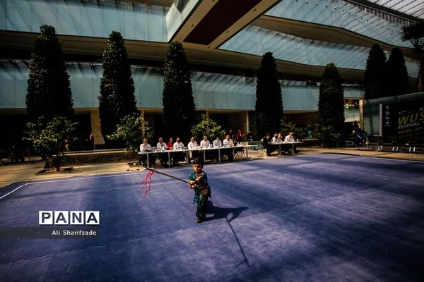 نخستین فستیوال ملی وشوو