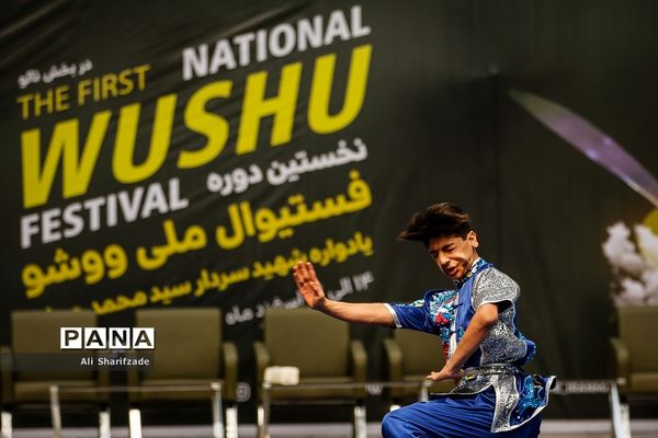 نخستین فستیوال ملی وشوو