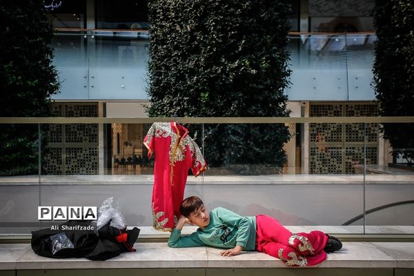 نخستین فستیوال ملی وشوو