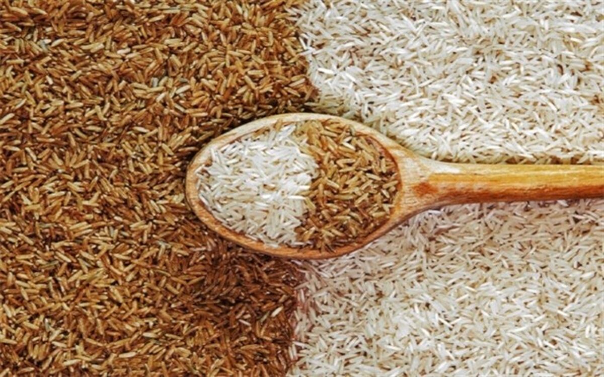 این برنج شما را چاق نمی‌کند