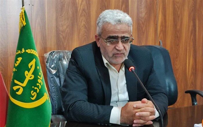 سالانه ۱۴۰ هزار تن مرکبات در شهرستان نکا تولید می‌شود