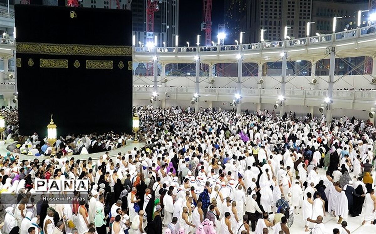 بازدید رئیس سازمان حج و زیارت از محل اقامت حجاج در مدینه