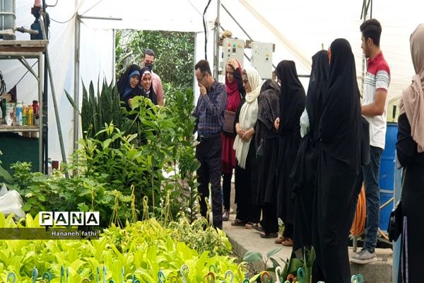 بازدید هنرجویان از گلخانه به‌مناسبت هفته جهاد کشاورزی در محمود‌آباد