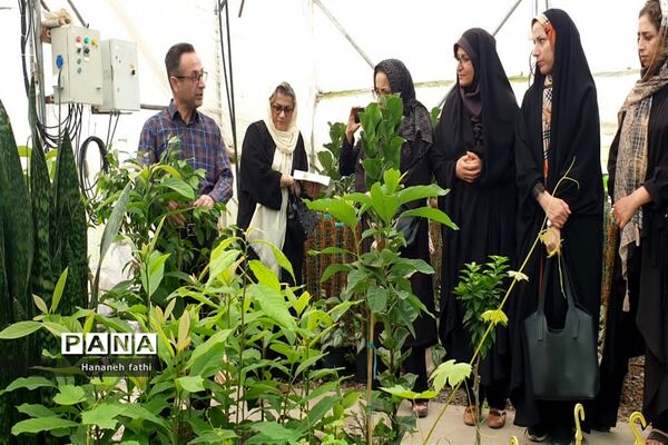 بازدید هنرجویان از گلخانه به‌مناسبت هفته جهاد کشاورزی در محمود‌آباد