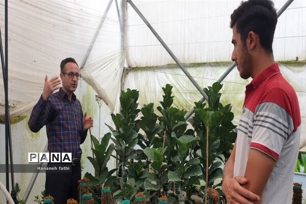 بازدید هنرجویان از گلخانه به‌مناسبت هفته جهاد کشاورزی در محمود‌آباد