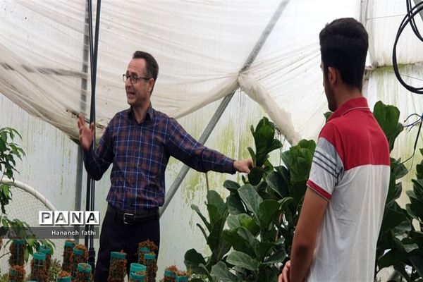 بازدید هنرجویان از گلخانه به‌مناسبت هفته جهاد کشاورزی در محمود‌آباد