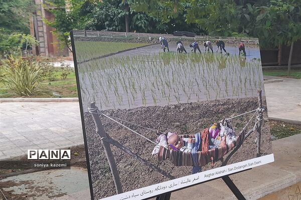 نمایشگاه عکس خیابانی در ساری