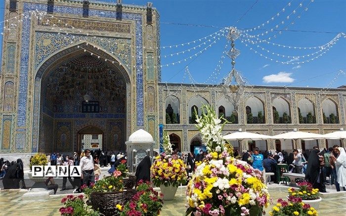 جذب خادم افتخاری نوجوان در حرم حضرت معصومه (س)