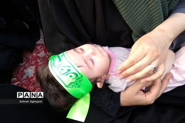 شور و حماسه زائران مسجد جمکران در همخوانی «سلام فرمانده»-6