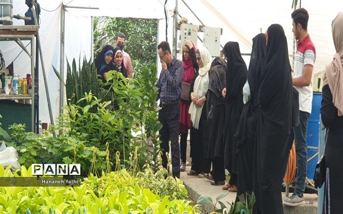 ابلاغ شیوه‌نامه اجرایی «تأمین مالی کشاورزی قراردادی»