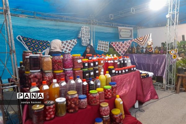 جشنواره بومی و محلی در ساری