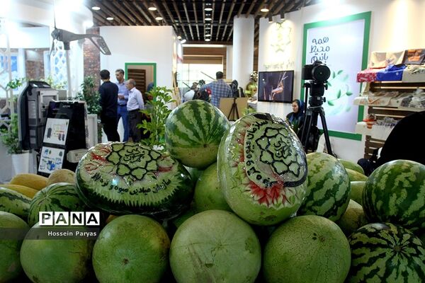 افتتاح نمایشگاه شهرهای خواهرخوانده و توانمندی مدیریت شهری تهران