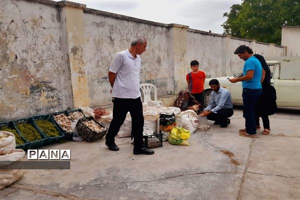 اولین جشنواره پیاز دارابکلا