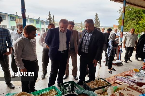 اولین جشنواره پیاز دارابکلا