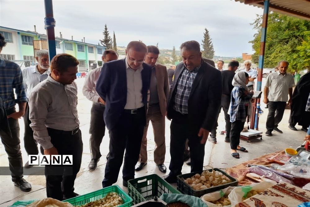 اولین جشنواره پیاز دارابکلا