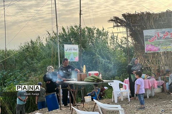 سومین جشنواره گل‌های نیلوفر آبی در مازندران