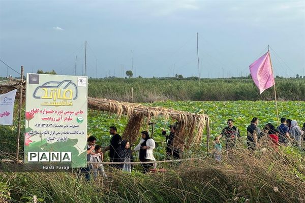 سومین جشنواره گل‌های نیلوفر آبی در مازندران