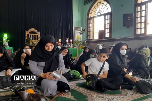 مراسم پرفیض دعای عرفه در ساری