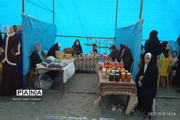اجتماع مردمی مدافعان حریم خانواده در نور