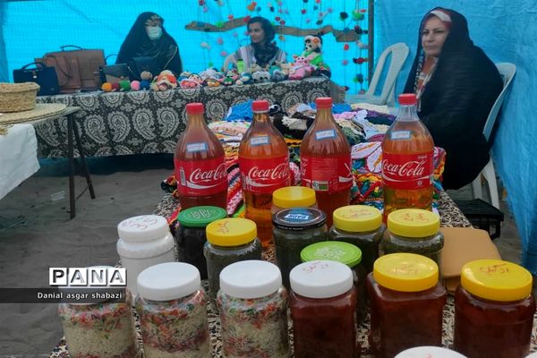 اجتماع مردمی مدافعان حریم خانواده در نور