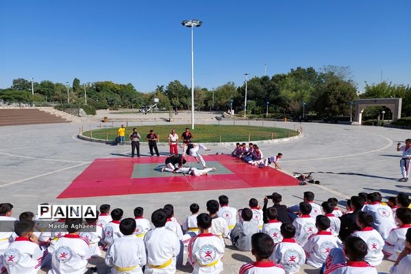 همایش پیاده‌روی و نمایش حرکات رزمی ورزشکاران استان خراسان‌ رضوی