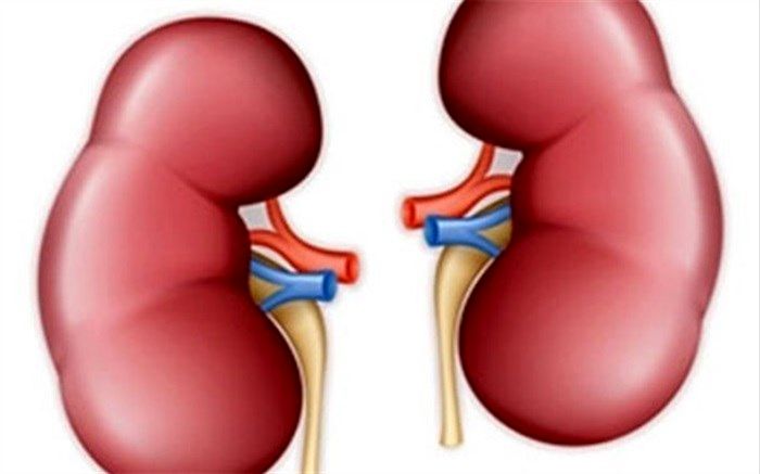 اگر این نشانه را دارید نگران کلیه هایتان باشید
