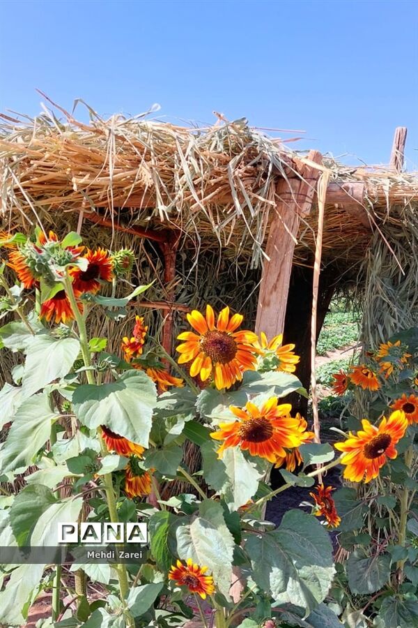 زیبایی‌های چلگرد و کوهرنگ
